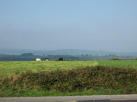 Countryside between Thomastown and Waterford