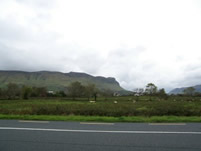 Countryside just North of Sligo