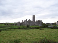 Quinn Abbey