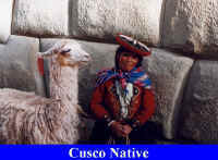 Cusco Native