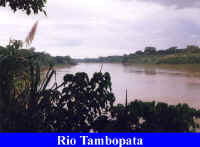 Rio Tambopata